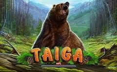 Taiga