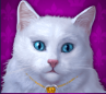 Dc_kat