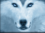 Wm_wolf