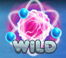 A_wild