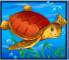 Bd_schildpad