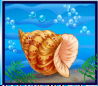 Bd_shell