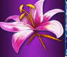 Bloem