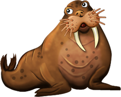 Iw walrus