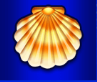 Mg_schelp