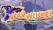 wild_witches