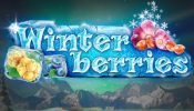 winterberries