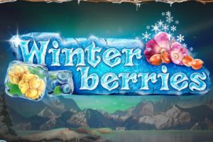 Winterberries