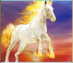 Pegasus