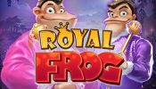 royal_frog